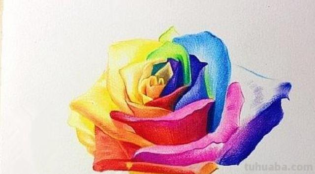 彩铅玫瑰与蝴蝶怎么画 儿童彩铅画教程入门零基础？