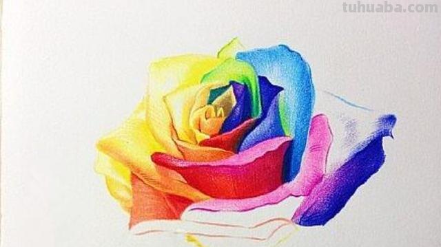 彩铅玫瑰与蝴蝶怎么画 儿童彩铅画教程入门零基础？