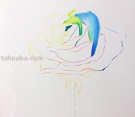 彩铅玫瑰与蝴蝶怎么画 儿童彩铅画教程入门零基础？