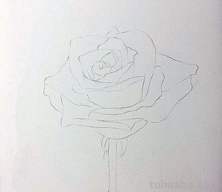 彩铅玫瑰与蝴蝶怎么画 儿童彩铅画教程入门零基础？