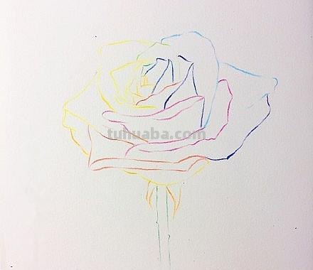 彩铅玫瑰与蝴蝶怎么画 儿童彩铅画教程入门零基础？