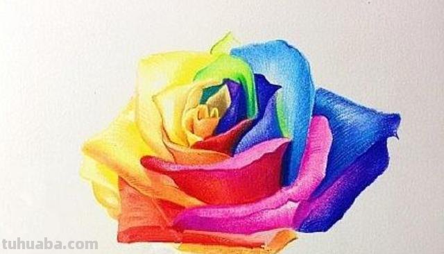 彩铅玫瑰与蝴蝶怎么画 儿童彩铅画教程入门零基础？