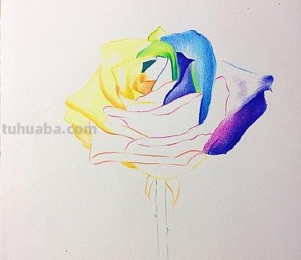 彩铅玫瑰与蝴蝶怎么画 儿童彩铅画教程入门零基础？