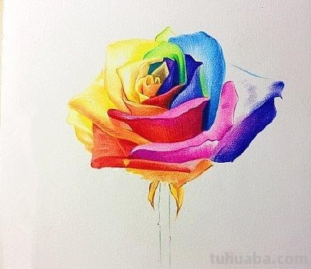 彩铅玫瑰与蝴蝶怎么画 儿童彩铅画教程入门零基础？