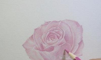 彩铅玫瑰与蝴蝶怎么画 儿童彩铅画教程入门零基础？