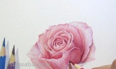 彩铅玫瑰与蝴蝶怎么画 儿童彩铅画教程入门零基础？