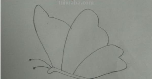 彩铅玫瑰与蝴蝶怎么画 儿童彩铅画教程入门零基础？