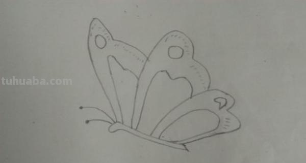 彩铅玫瑰与蝴蝶怎么画 儿童彩铅画教程入门零基础？