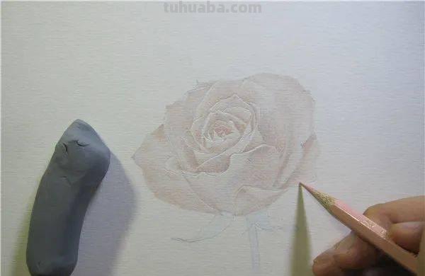 彩铅玫瑰与蝴蝶怎么画 儿童彩铅画教程入门零基础？