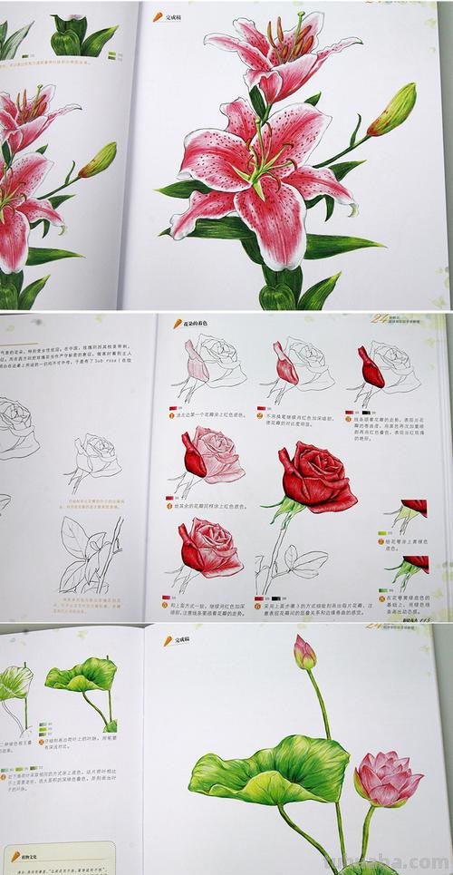 彩铅画教程 彩铅画教程入门零基础