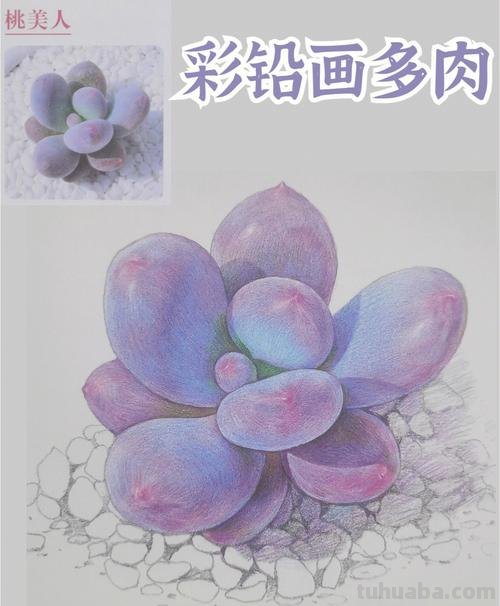 彩铅画教程 彩铅画教程入门零基础