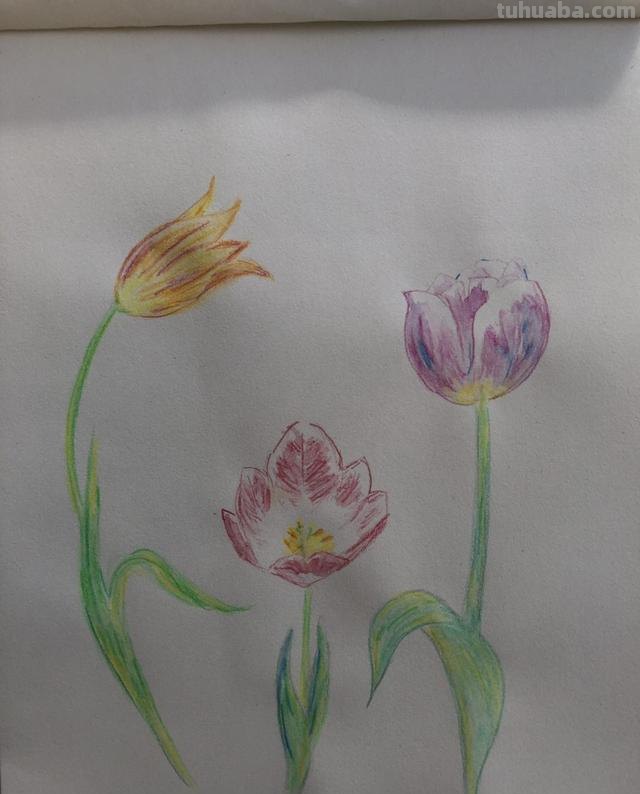 简笔画怎么画怎么画简笔画 怎么画简笔画啊？