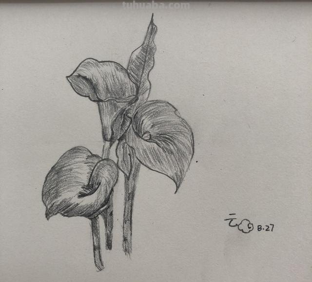 简笔画怎么画怎么画简笔画 怎么画简笔画啊？