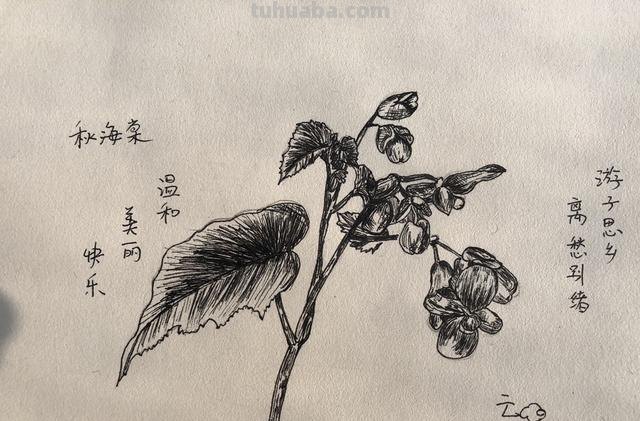 简笔画怎么画怎么画简笔画 怎么画简笔画啊？