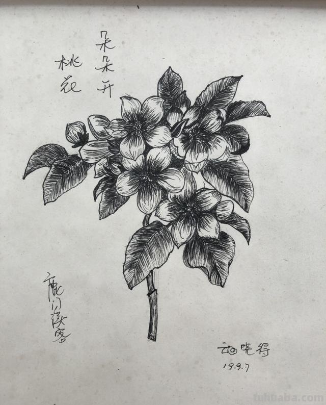 简笔画怎么画怎么画简笔画 怎么画简笔画啊？