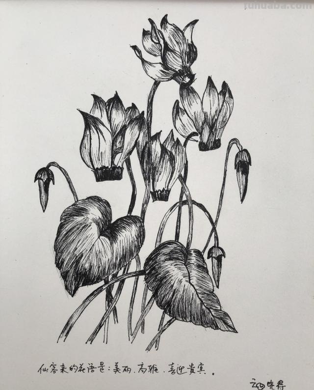 简笔画怎么画怎么画简笔画 怎么画简笔画啊？
