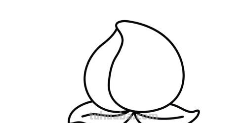 做什么简笔画 幼儿手工简笔画桃子画法?