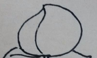 做什么简笔画 幼儿手工简笔画桃子画法？