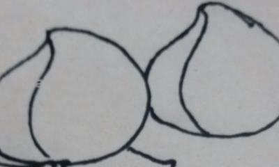 做什么简笔画 幼儿手工简笔画桃子画法？