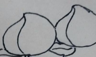 做什么简笔画 幼儿手工简笔画桃子画法？