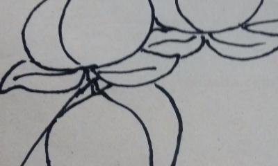 做什么简笔画 幼儿手工简笔画桃子画法？