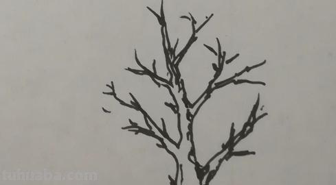 怎么树简笔画 大树简笔画如何画？