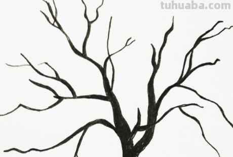 怎么树简笔画 大树简笔画如何画？