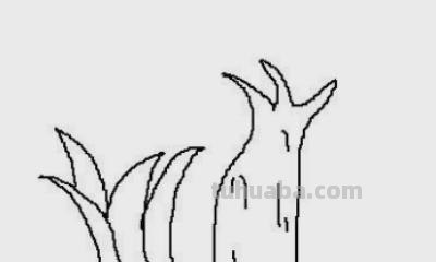 怎么树简笔画 大树简笔画如何画？