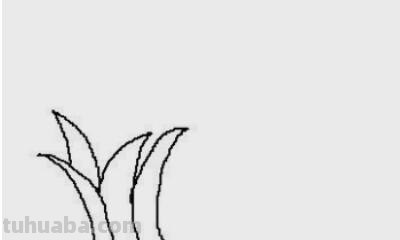 怎么树简笔画 大树简笔画如何画？