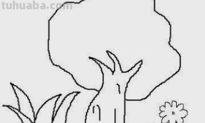 怎么树简笔画 大树简笔画如何画？