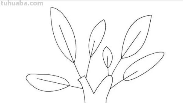 怎么树简笔画 大树简笔画如何画？