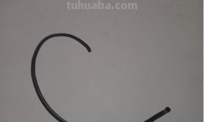 简笔画鸟怎么 简笔鸟的画？