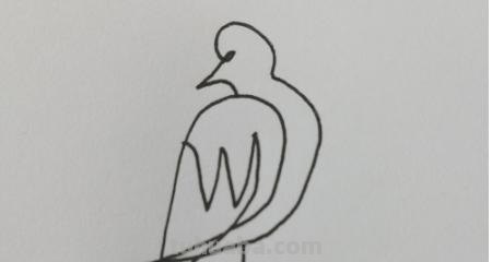 简笔画鸟怎么 简笔鸟的画？