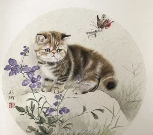 工笔猫咪,呆萌得融化你的心,毛绒绒的羽毛精致到控制不住想揉摸