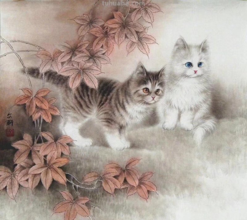 工笔猫咪，呆萌得融化你的心，毛绒绒的羽毛精致到控制不住想揉摸