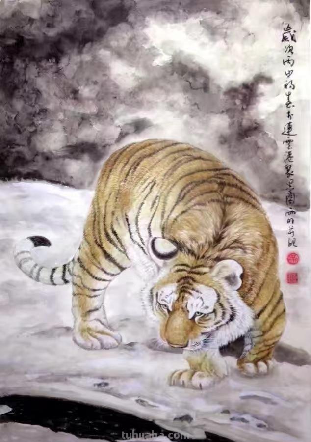 工笔猫咪，呆萌得融化你的心，毛绒绒的羽毛精致到控制不住想揉摸
