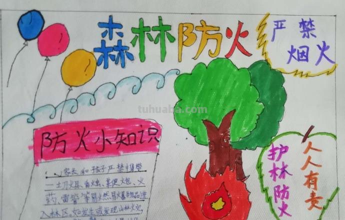 燃烧手抄报怎么画 森林防火手抄报怎么做?