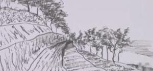 田怎么简笔画 简笔画之怎么画农田？