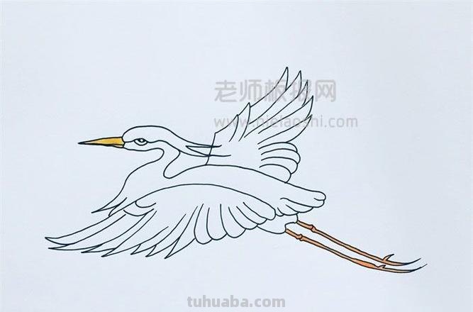 什么都简笔画 白鹭的简笔画？
