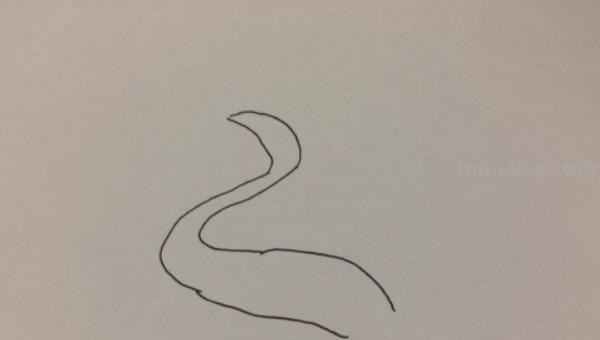 什么都简笔画 白鹭的简笔画？