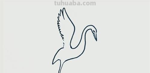 什么都简笔画 白鹭的简笔画？