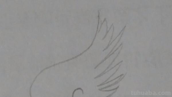 飞怎么简笔画 如何画飞天？