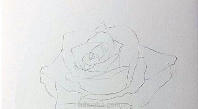 怎么画彩铅玫瑰打型 彩铅画玫瑰花教程？