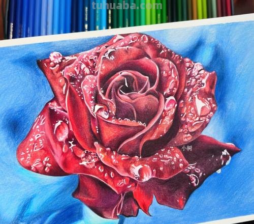 怎么画彩铅玫瑰打型 彩铅画玫瑰花教程？