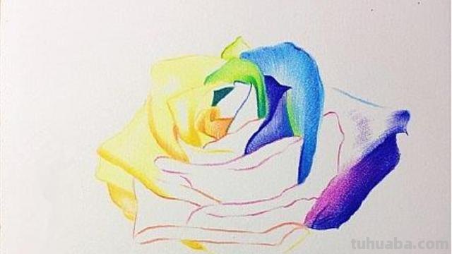 怎么画彩铅玫瑰打型 彩铅画玫瑰花教程？