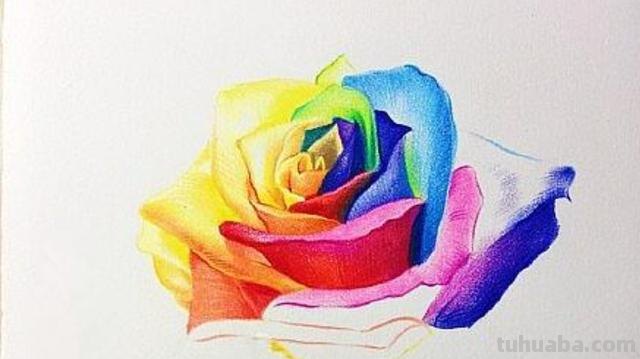 怎么画彩铅玫瑰打型 彩铅画玫瑰花教程？