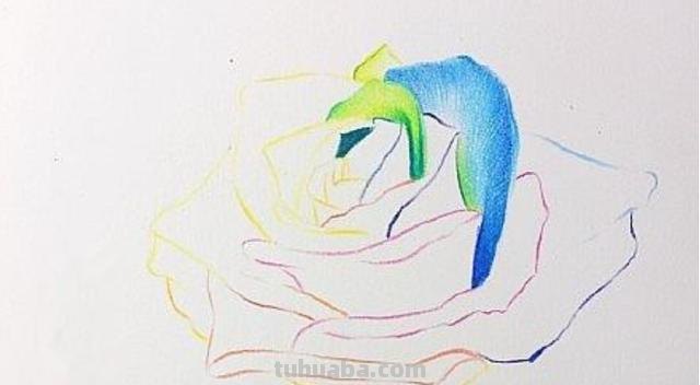 怎么画彩铅玫瑰打型 彩铅画玫瑰花教程？