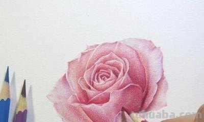 怎么画彩铅玫瑰打型 彩铅画玫瑰花教程？