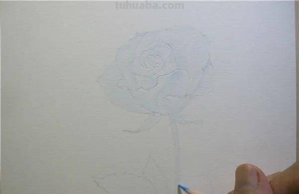 怎么画彩铅玫瑰打型 彩铅画玫瑰花教程？