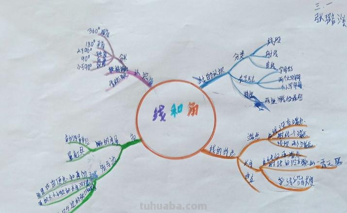 思维导图的文字怎么画 思维导图怎么在横线添加文字？